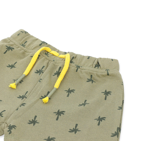 Date Palm-UK-Shorts